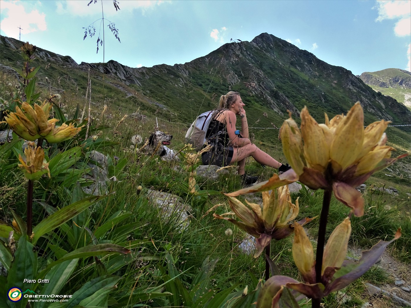 44 In salita dalla Val Grande al Passo di Tartano e Cima di Lemma con Gentiana punctata (Genziana maculata).JPG